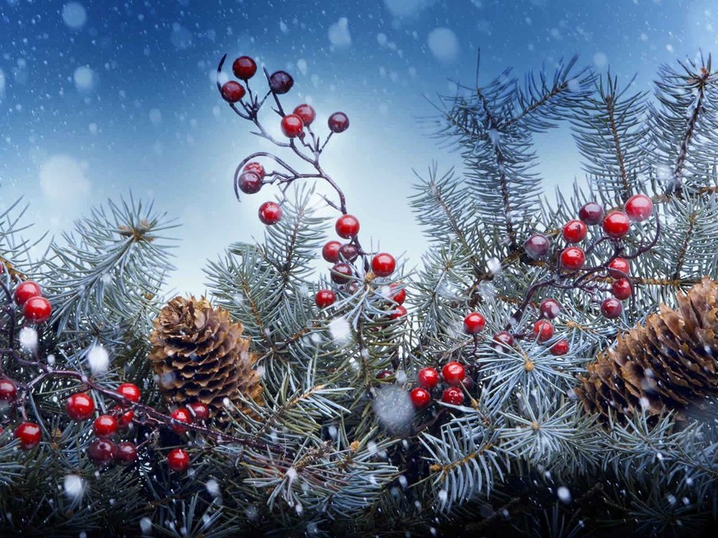 Обои новый год, елка, хвоя, ягоды, рождество, шишки, new year, tree, needles, berries, christmas, bumps разрешение 1920x1200 Загрузить