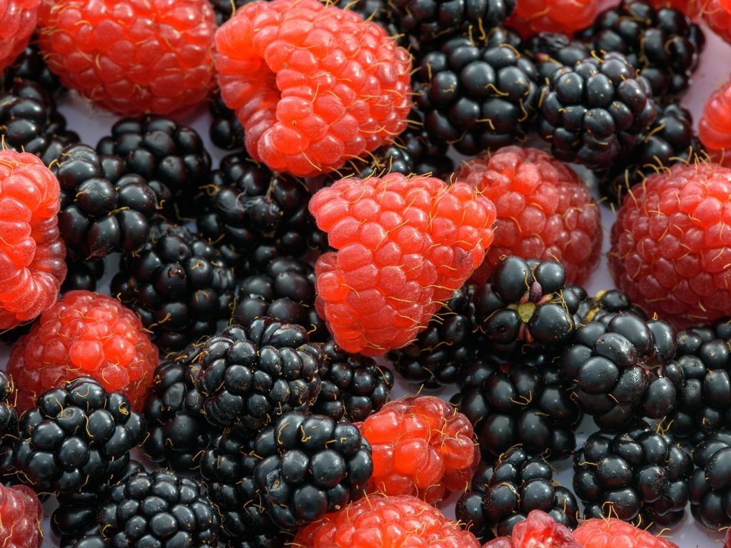 Обои макро, малина, ягоды, ежевика, macro, raspberry, berries, blackberry разрешение 3840x2160 Загрузить