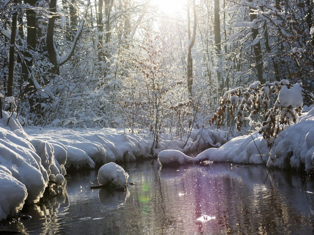 Обои река, природа, лес, зима, river, nature, forest, winter разрешение 2880x1800 Загрузить