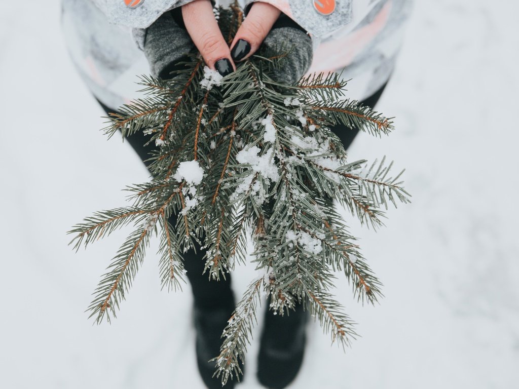 Обои снег, хвоя, девушка, ветки, модель, руки, snow, needles, girl, branches, model, hands разрешение 5760x3840 Загрузить