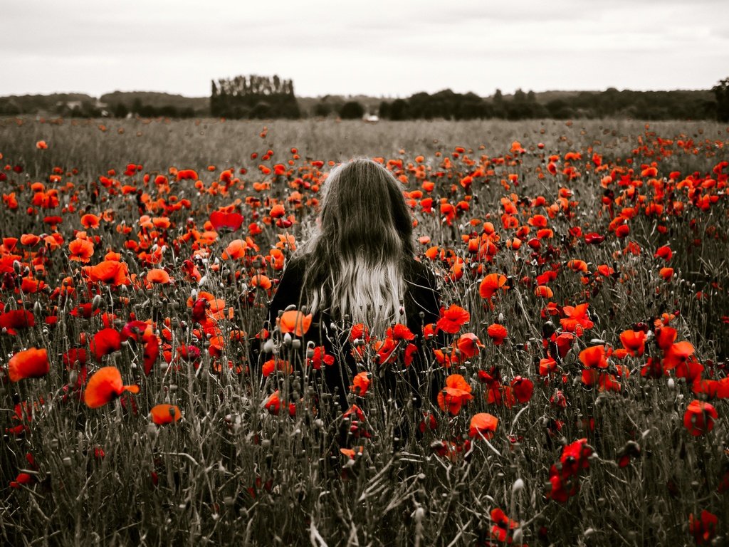 Обои цветы, девушка, поле, красные, маки, модель, спина, волосы, flowers, girl, field, red, maki, model, back, hair разрешение 4607x2661 Загрузить