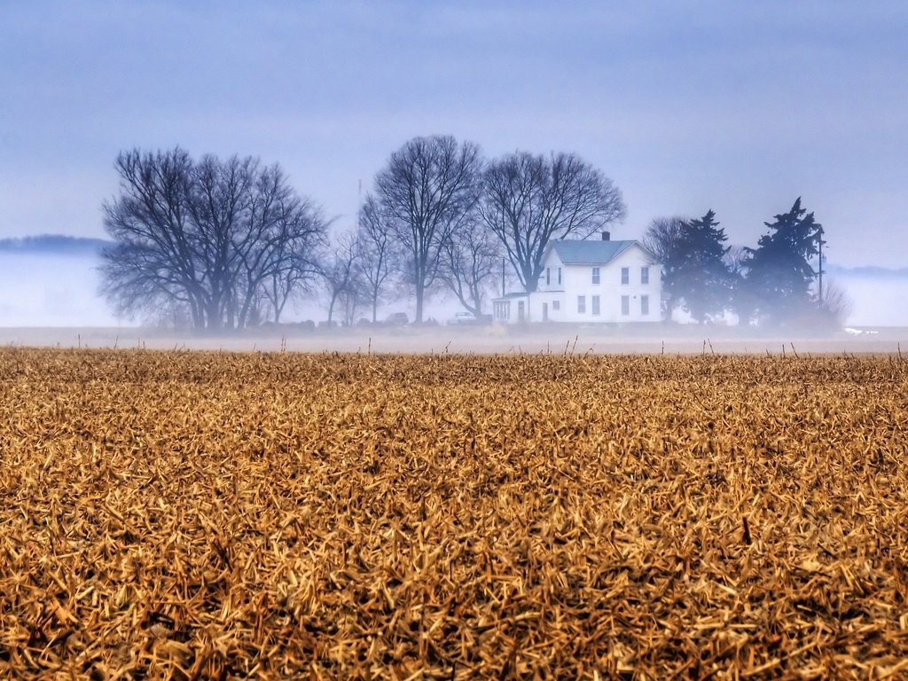 Обои небо, деревья, туман, поле, ферма, канзас, the sky, trees, fog, field, farm, kansas разрешение 3840x2160 Загрузить