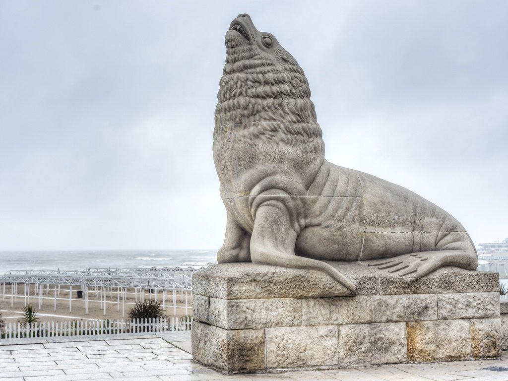 Обои статуя, аргентина, морской лев, буэнос-айрес, mar del plata, statue, argentina, sea lion, buenos aires разрешение 7342x4900 Загрузить