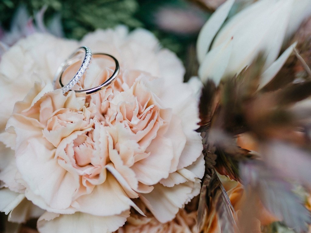 Обои цветок, кольцо, свадьба, обручальные кольца, боке, flower, ring, wedding, engagement rings, bokeh разрешение 4850x2728 Загрузить