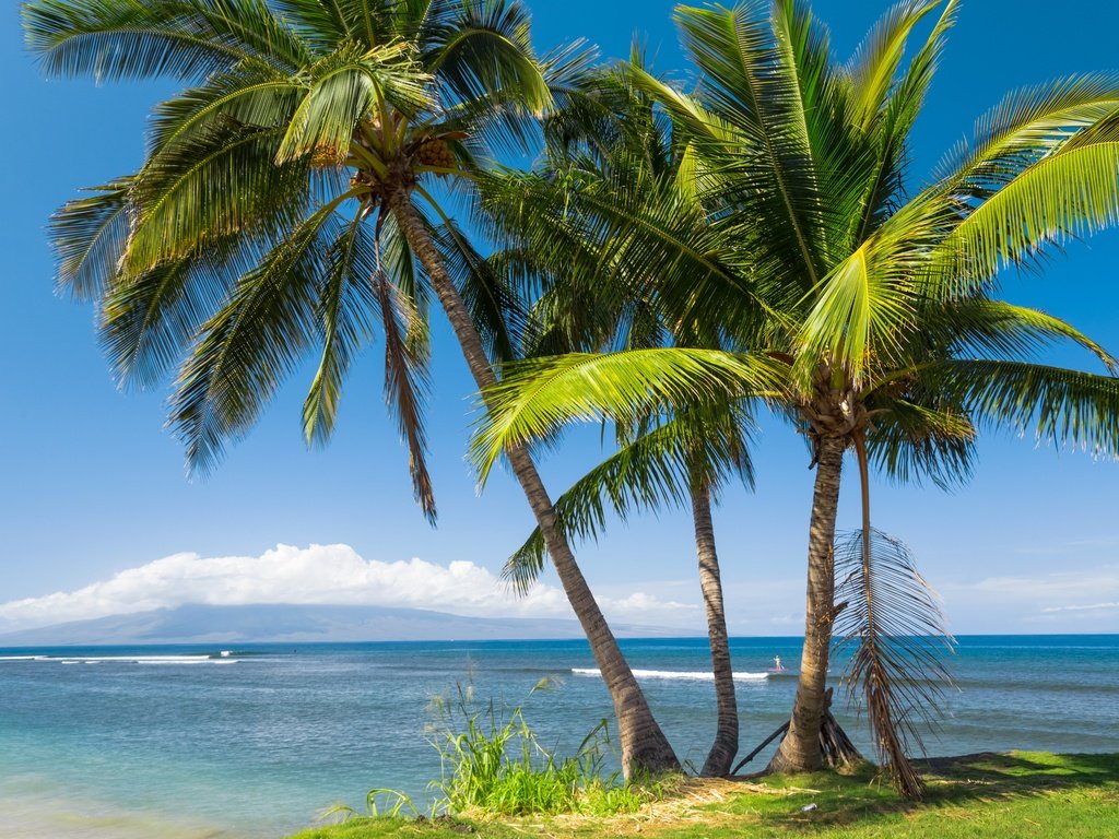 Обои солнце, море, побережье, пальмы, сша, тропики, гавайи, the sun, sea, coast, palm trees, usa, tropics, hawaii разрешение 5760x3840 Загрузить