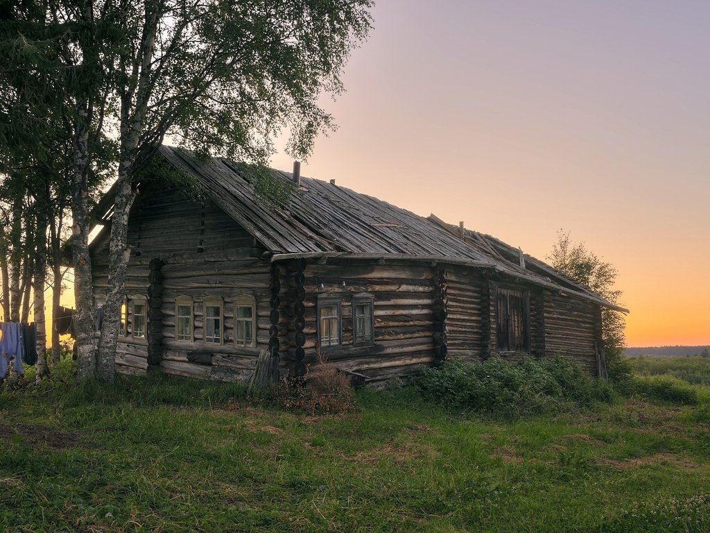 Обои трава, березы, лето, деревня, дом, архангельская область, печище, grass, birch, summer, village, house, arkhangelsk oblast, pechysche разрешение 2391x1400 Загрузить