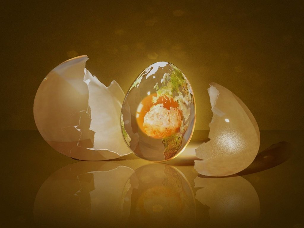 Обои отражение, графика, стекло, скорлупа, яйцо, 3д, reflection, graphics, glass, shell, egg, 3d разрешение 1920x1200 Загрузить