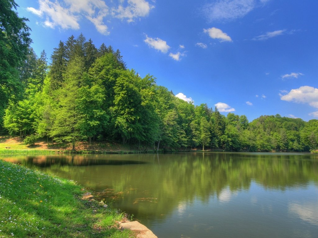 Обои деревья, озеро, зелень, лес, лето, trees, lake, greens, forest, summer разрешение 1920x1080 Загрузить