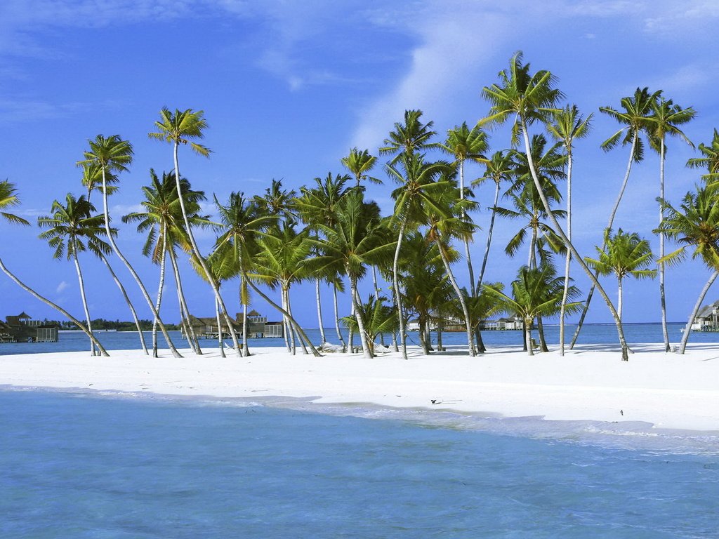 Обои песок, пальмы, остров, пальмы лагуна, sand, palm trees, island разрешение 1920x1080 Загрузить