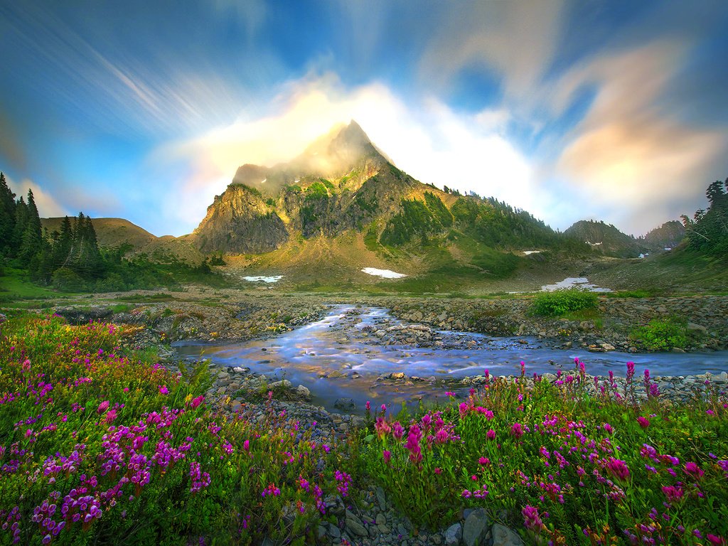 Обои цветы, ручей, гора, flowers, stream, mountain разрешение 1920x1312 Загрузить