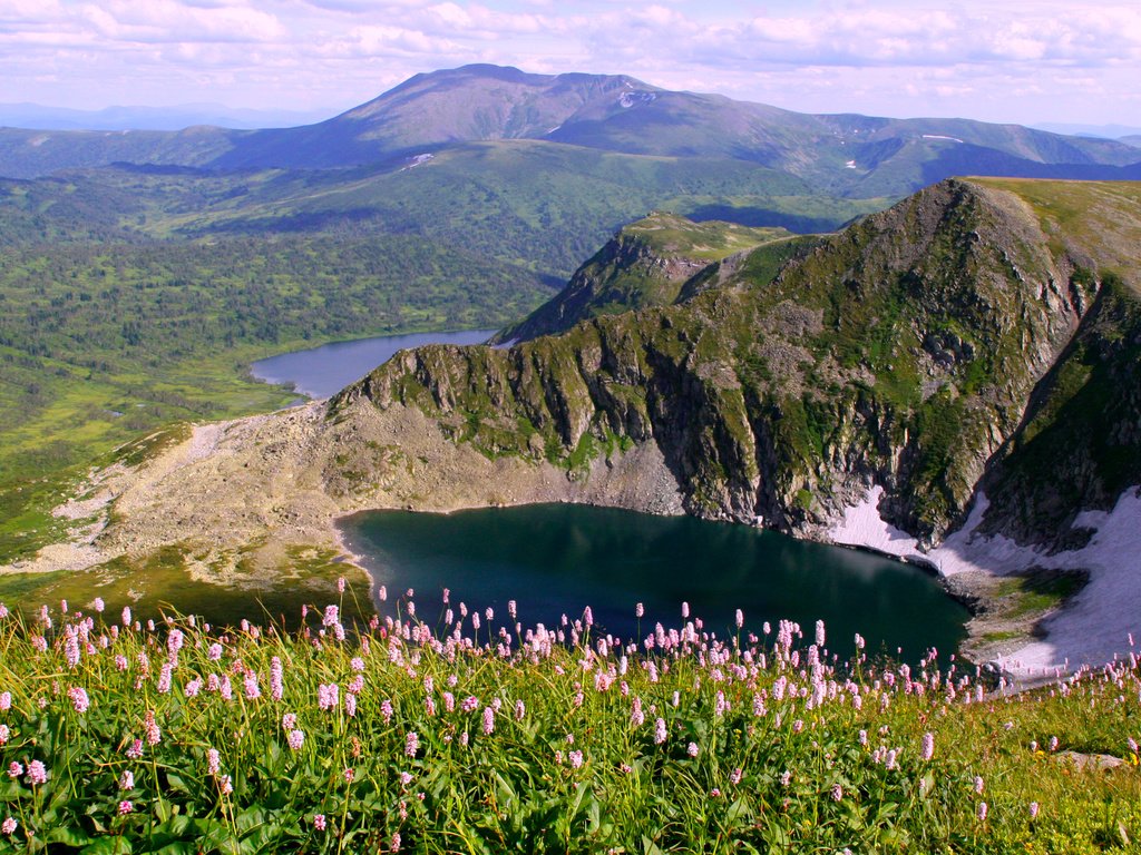 Обои цветы, озеро, горы, flowers, lake, mountains разрешение 1929x1240 Загрузить