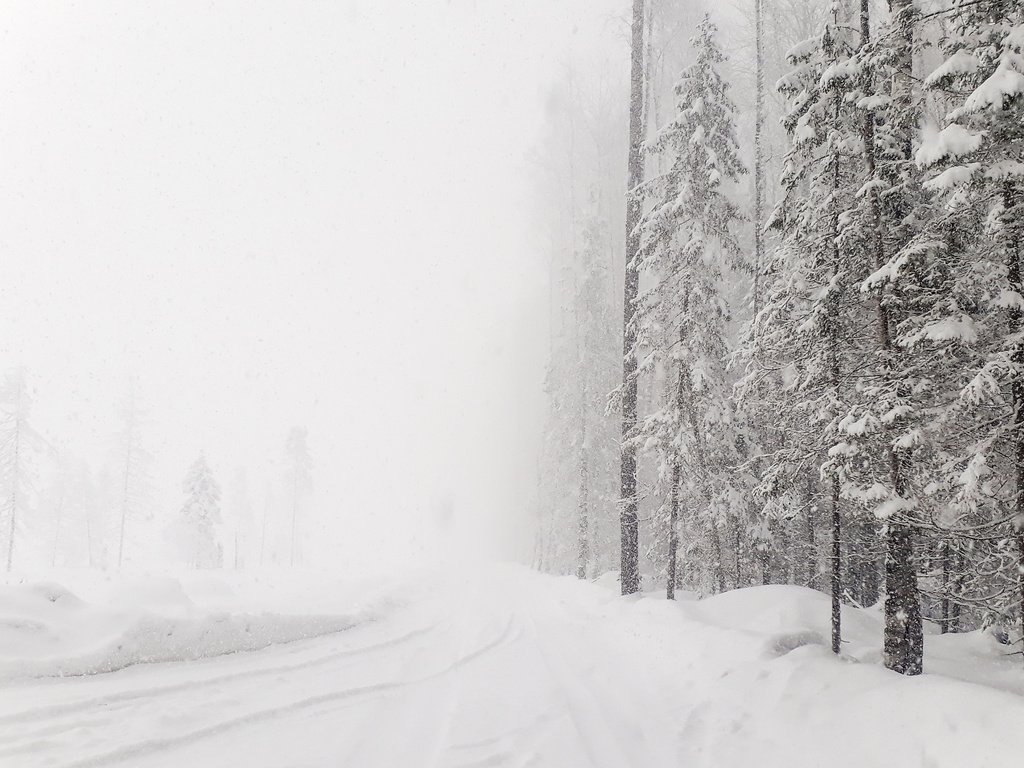 Обои #зима#лес#снег#россия#леснаядорога, #winter#forest#snow#russia#lenaderg разрешение 4128x2322 Загрузить