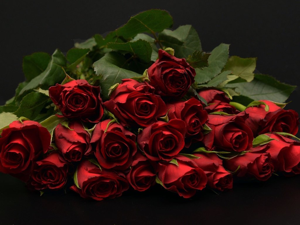 Обои бутоны, фон, букет, темный, красные розы, buds, background, bouquet, dark, red roses разрешение 1920x1280 Загрузить