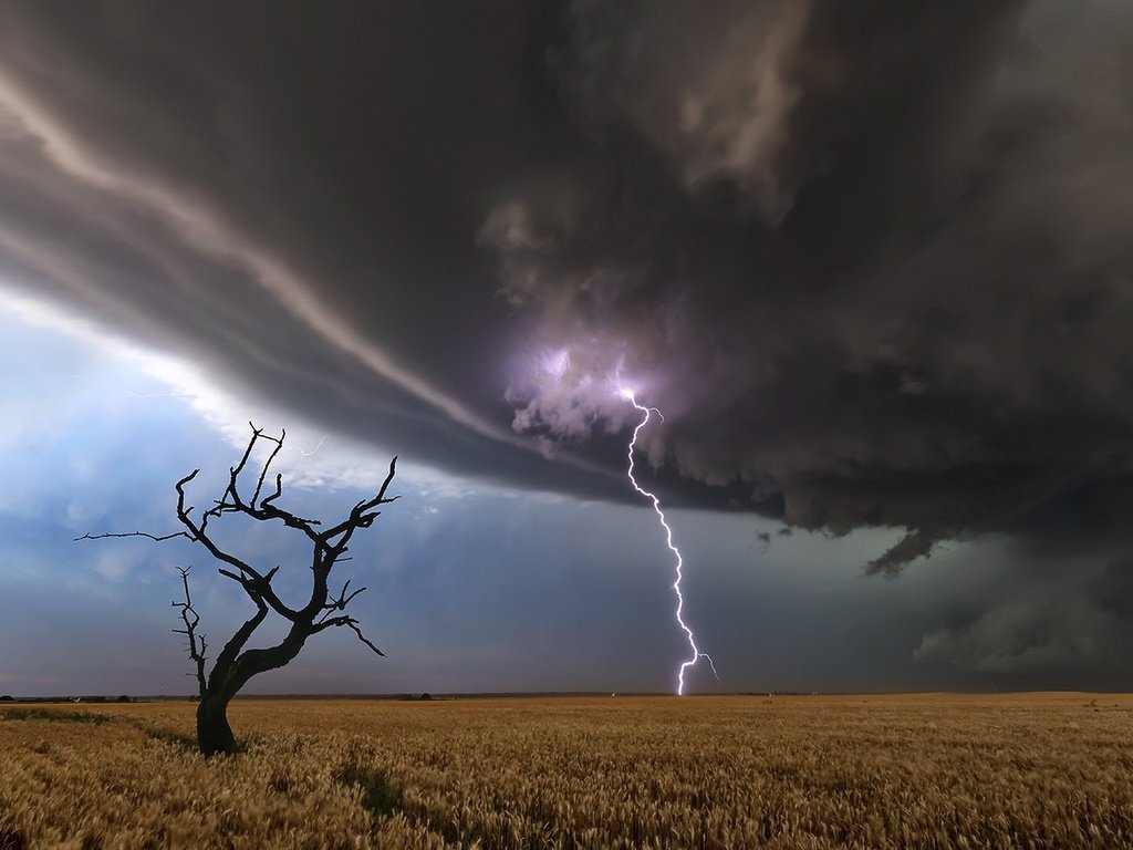 Обои дерево, молния, поле, tree, lightning, field разрешение 2048x1284 Загрузить