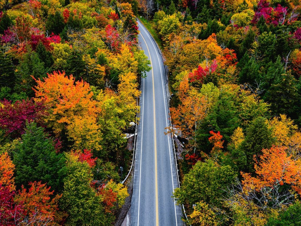 Обои дорога, деревья, лес, осень, вермонт, smugglers notch, road, trees, forest, autumn, vermont разрешение 2048x1280 Загрузить