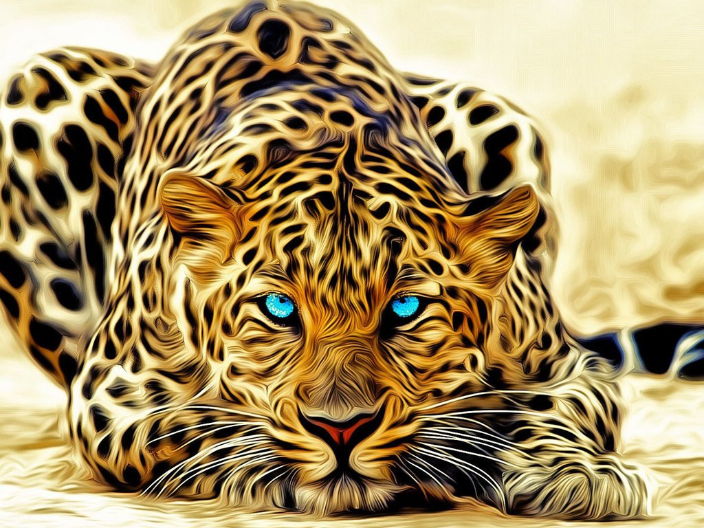 Обои лежит, леопард, голубые глаза, окрас, lies, leopard, blue eyes, color разрешение 1920x1080 Загрузить