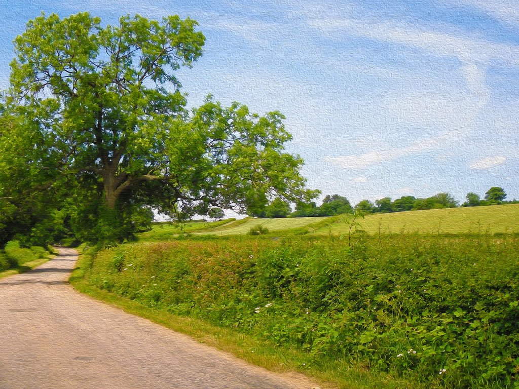 Обои небо, дорога, деревья, природа, пейзаж, поле, the sky, road, trees, nature, landscape, field разрешение 3840x2160 Загрузить