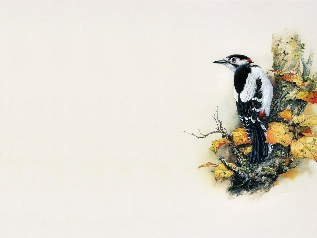 Обои арт, дерево, минимализм, птица, живопись, дятел, zeng xiao lian, art, tree, minimalism, bird, painting, woodpecker разрешение 1920x1080 Загрузить