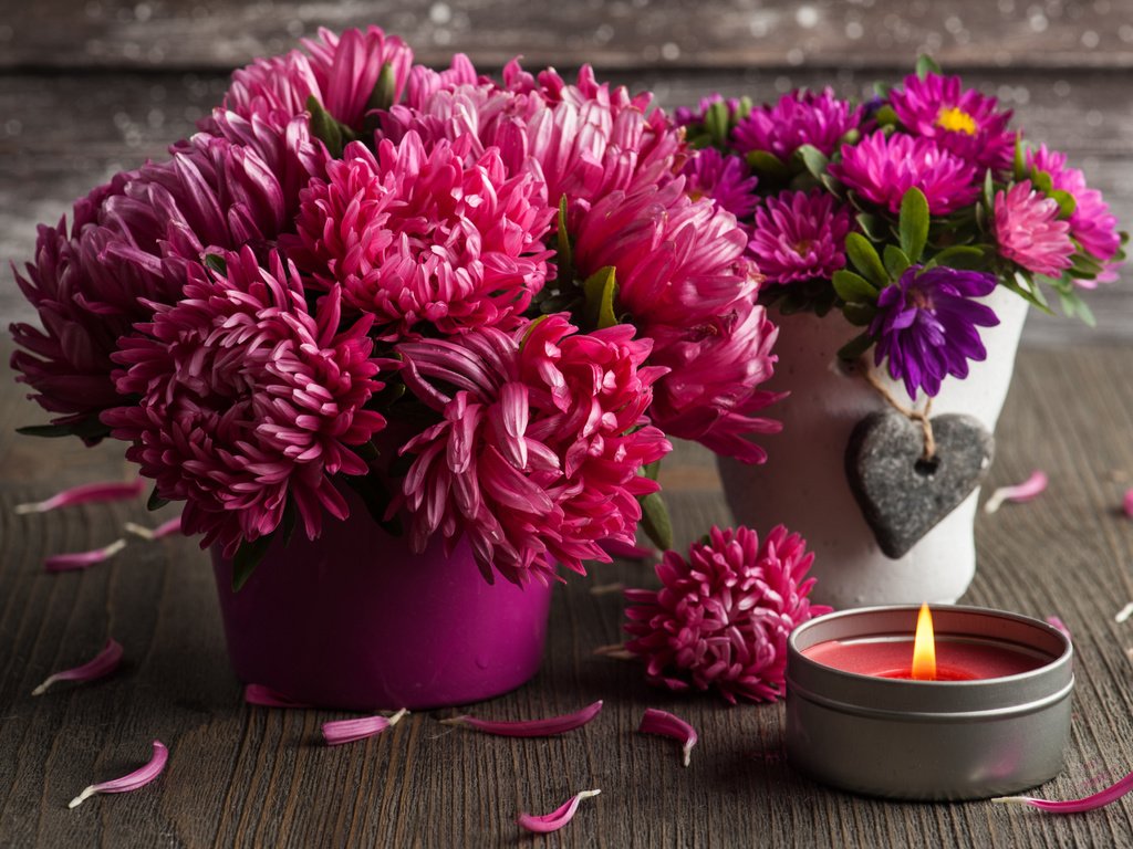 Обои цветы, лепестки, горшки, свечка, свеча, астры, flowers, petals, pots, candle, asters разрешение 4256x2832 Загрузить