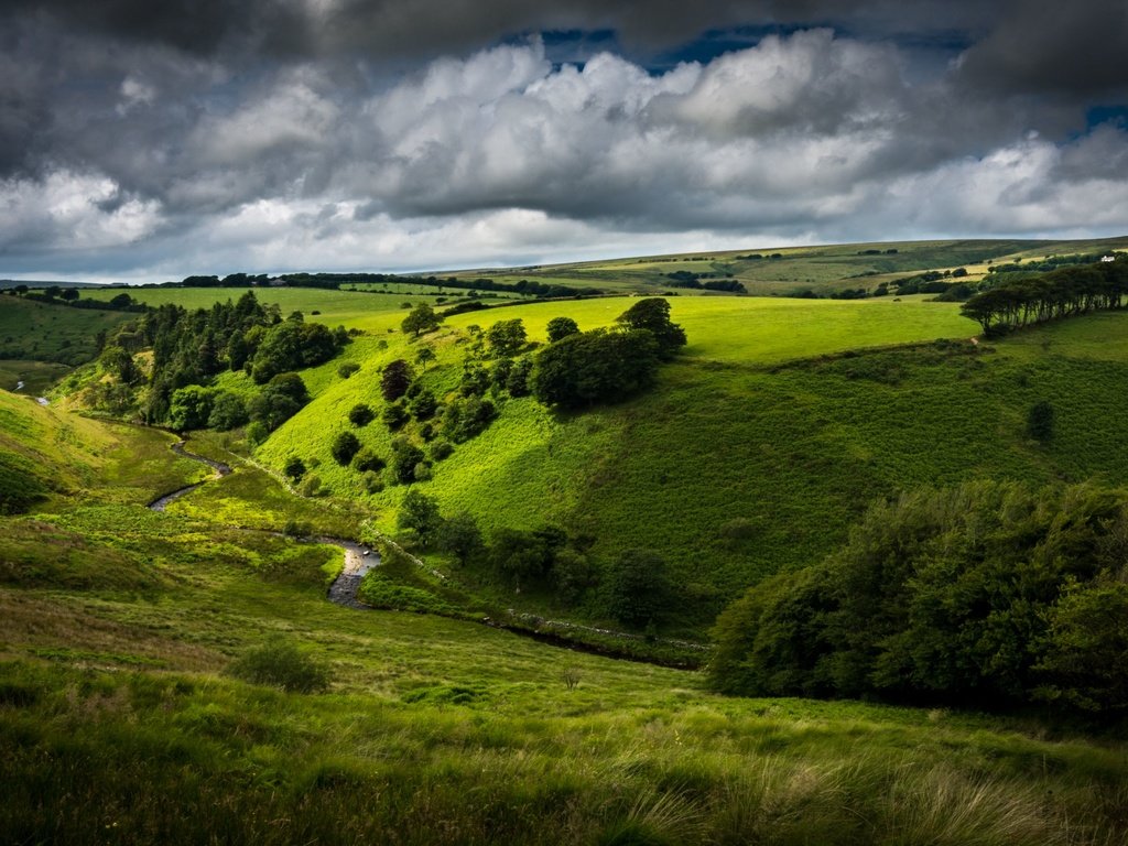 Обои небо, дорога, холмы, кусты, the sky, road, hills, the bushes разрешение 3840x2160 Загрузить