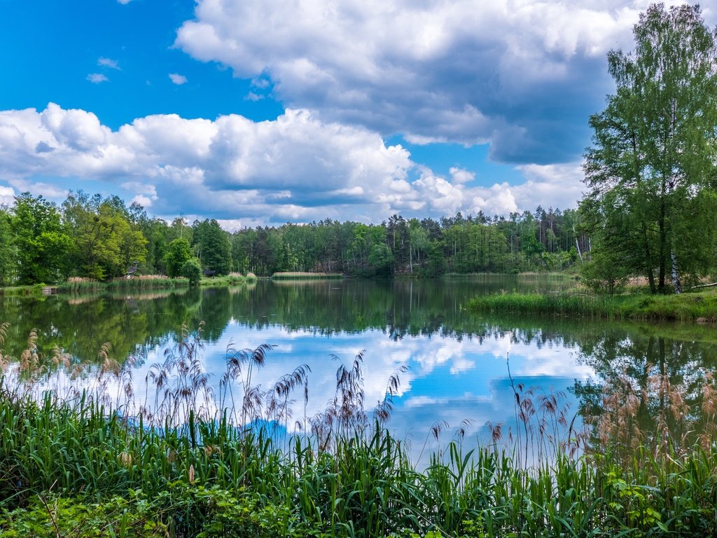 Обои облака, деревья, озеро, природа, лес, отражение, clouds, trees, lake, nature, forest, reflection разрешение 5420x3049 Загрузить