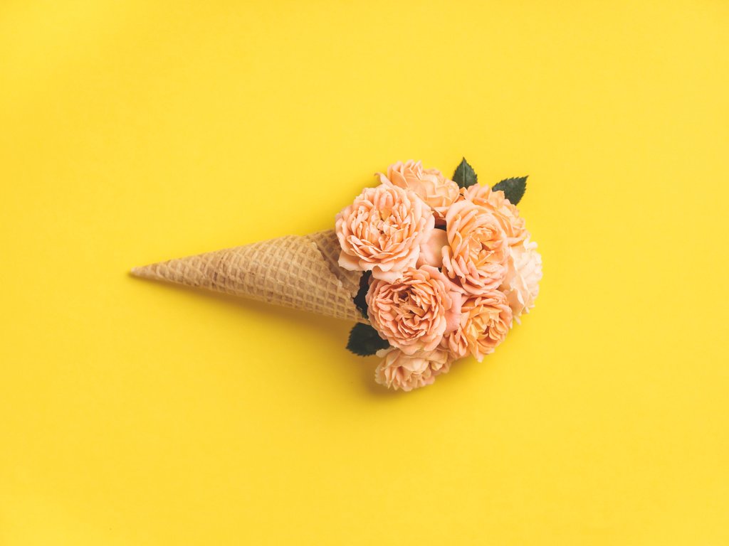 Обои фон, розы, желтые, вафельный рожок, background, roses, yellow, waffle cone разрешение 8000x5333 Загрузить