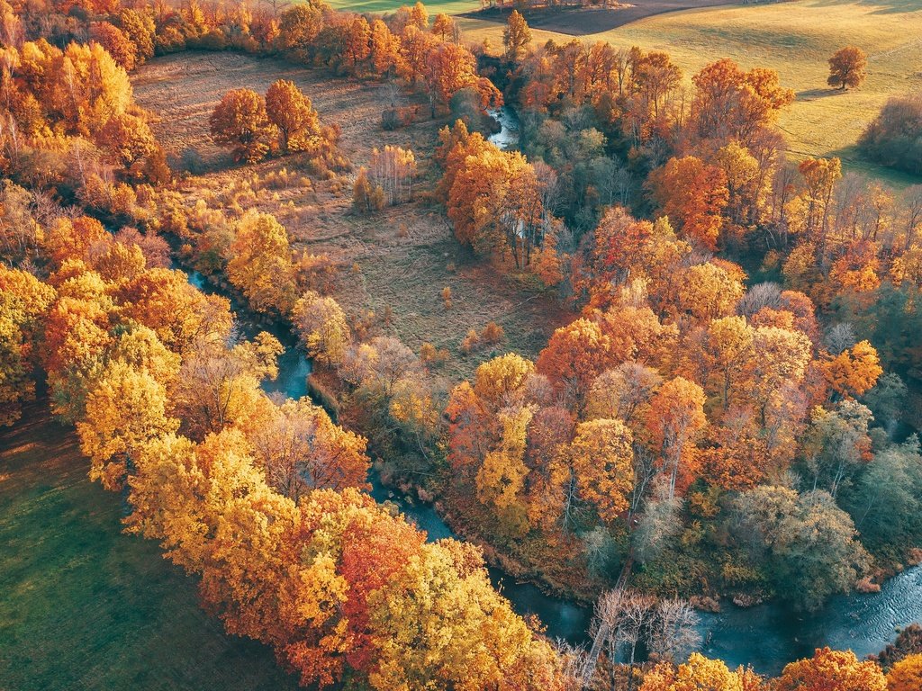 Обои деревья, река, природа, пейзаж, вид сверху, осень, trees, river, nature, landscape, the view from the top, autumn разрешение 3840x2160 Загрузить