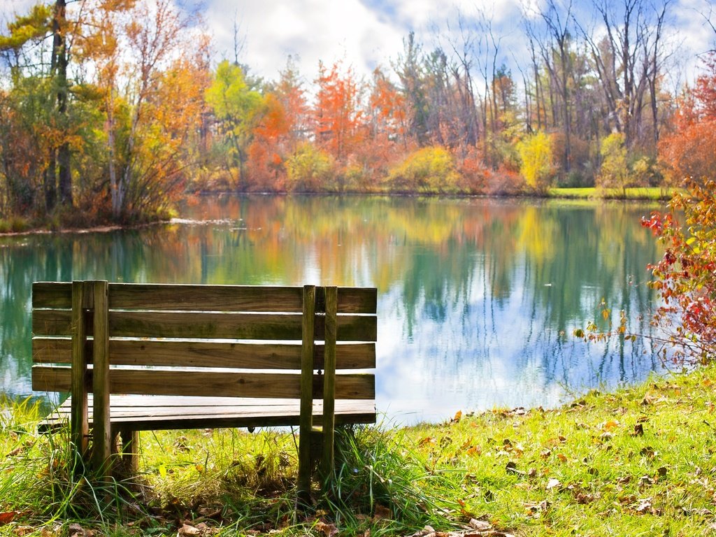 Обои трава, листья, отражение, парк, осень, скамейка, пруд, пруд парк, grass, leaves, reflection, park, autumn, bench, pond разрешение 5760x3840 Загрузить