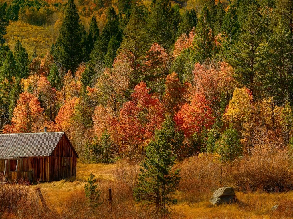 Обои деревья, лес, осень, домик, trees, forest, autumn, house разрешение 6144x2048 Загрузить
