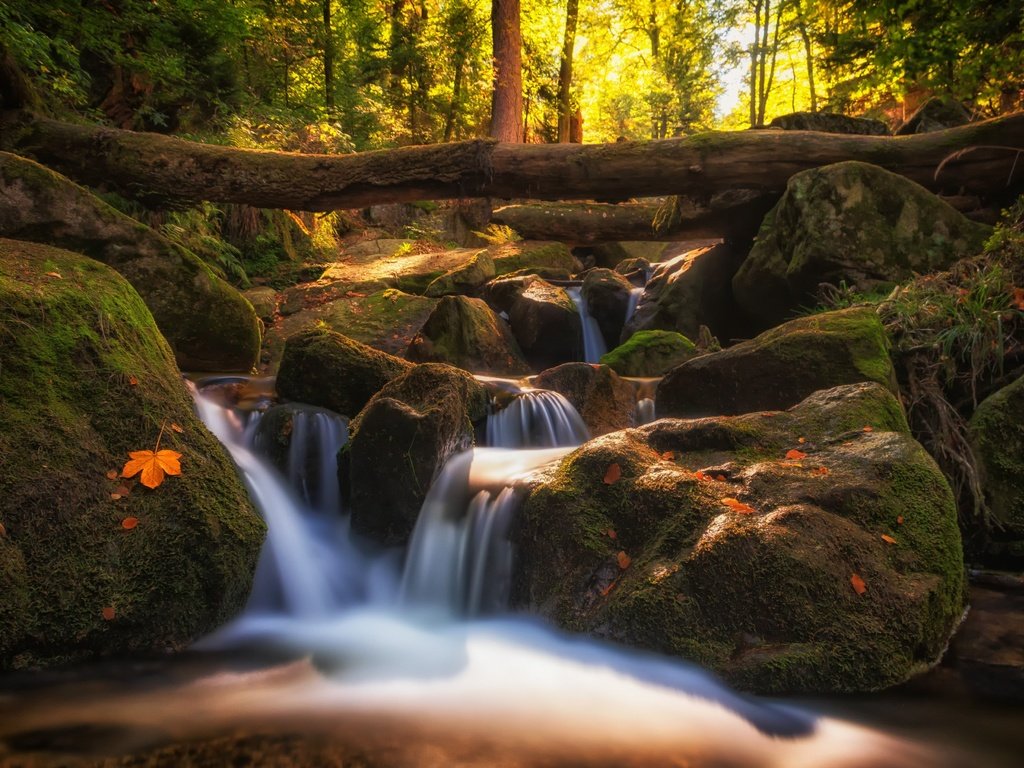 Обои деревья, природа, камни, листья, пейзаж, водопад, осень, речушка, trees, nature, stones, leaves, landscape, waterfall, autumn, river разрешение 4000x2479 Загрузить