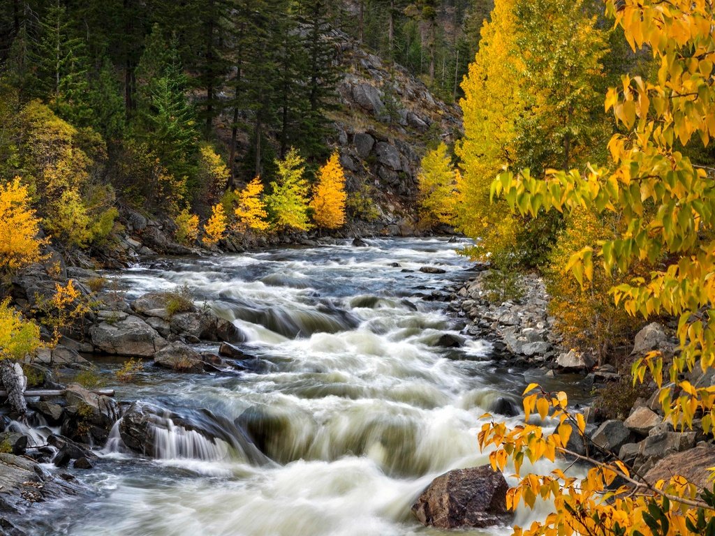 Обои деревья, река, осень, штат вашингтон, trees, river, autumn, washington разрешение 3000x2000 Загрузить