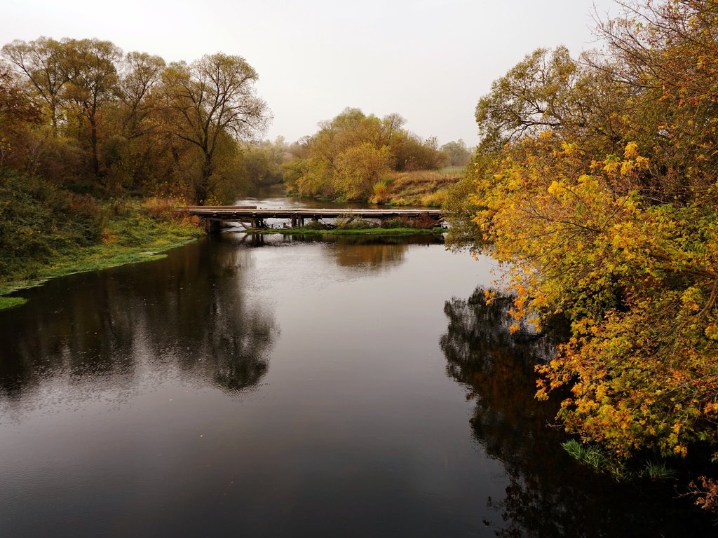 Обои деревья, река, природа, мост, осень, trees, river, nature, bridge, autumn разрешение 6000x4000 Загрузить