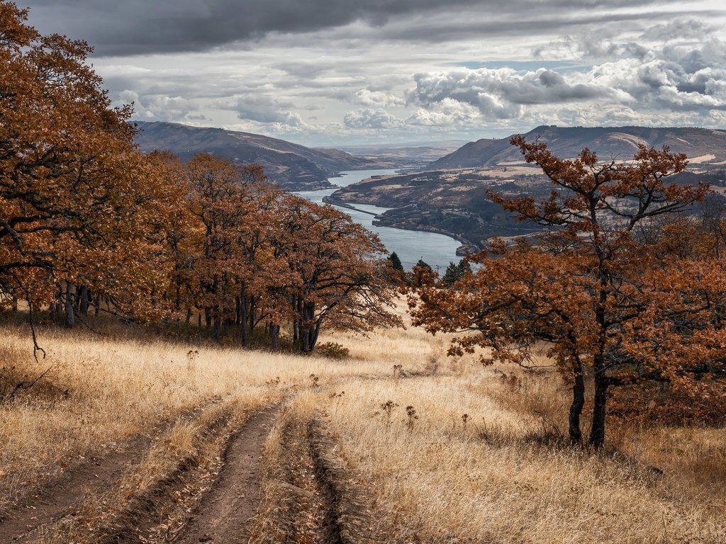 Обои дорога, природа, осень, road, nature, autumn разрешение 3840x2160 Загрузить