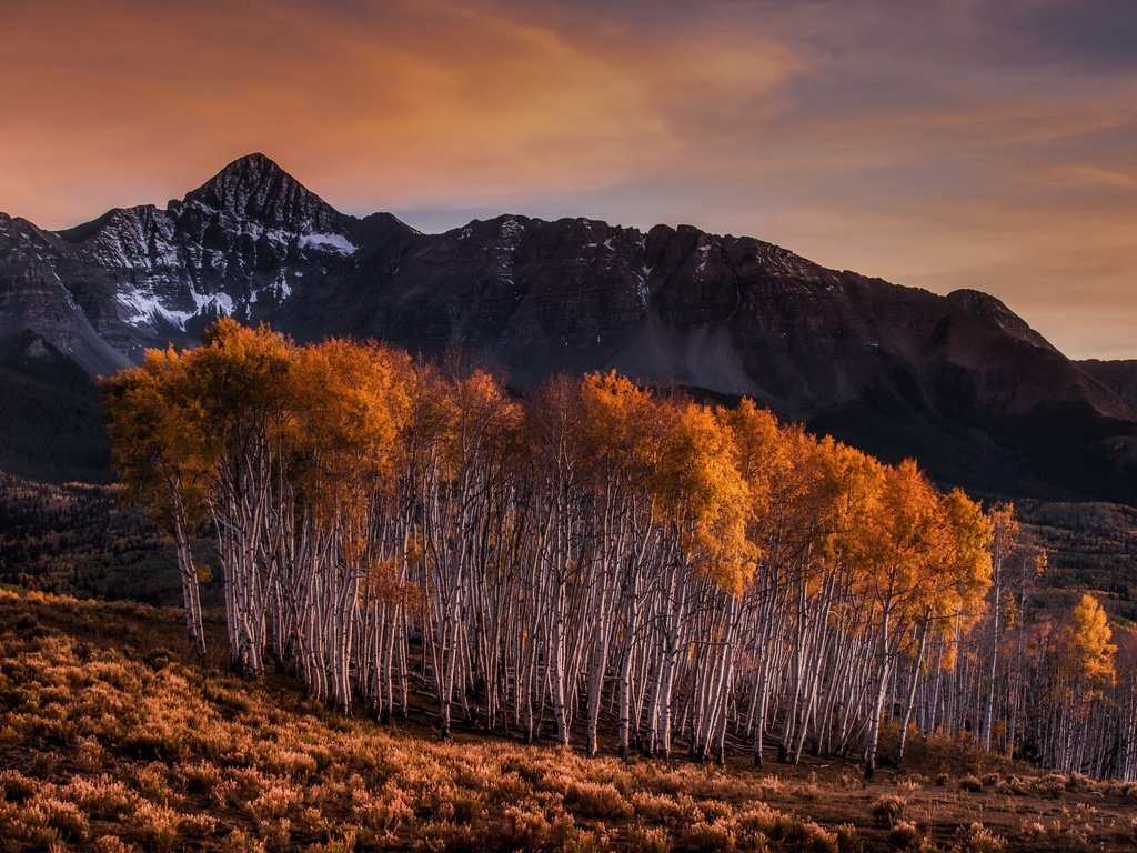 Обои горы, березы, осень, mountains, birch, autumn разрешение 3840x2160 Загрузить