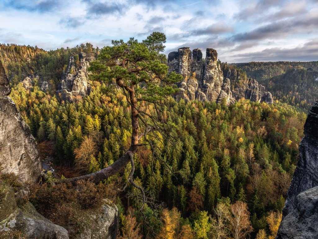 Обои горы, природа, лес, mountains, nature, forest разрешение 3840x2160 Загрузить