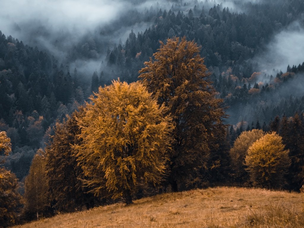 Обои горы, туман, осень, mountains, fog, autumn разрешение 3840x2160 Загрузить