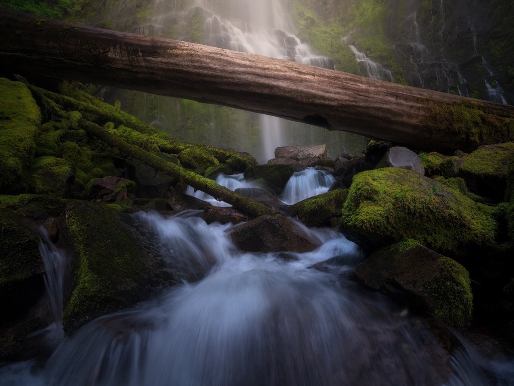 Обои камни, валуны, зелень, водопад, поток, мох, бревно, водопады, каскад, stones, boulders, greens, waterfall, stream, moss, log, waterfalls, cascade разрешение 2048x1391 Загрузить