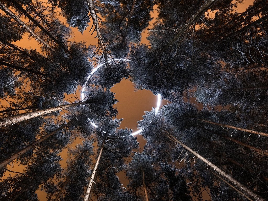 Обои небо, деревья, круг, the sky, trees, round разрешение 2047x1300 Загрузить