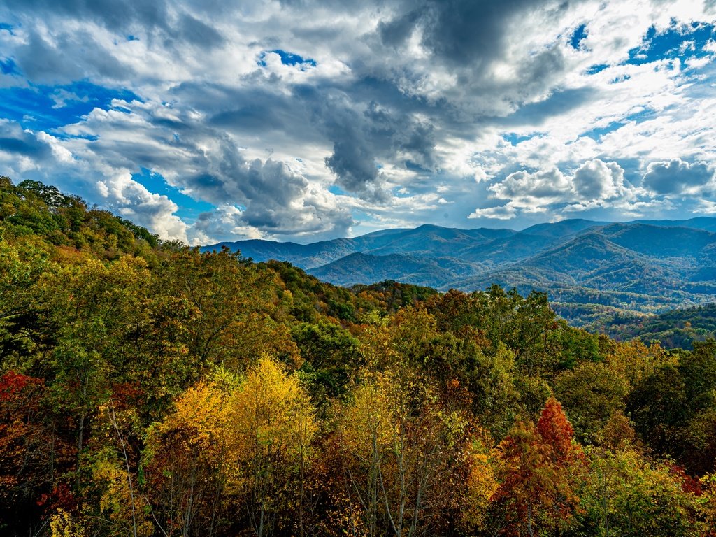 Обои небо, облака, деревья, горы, лес, осень, the sky, clouds, trees, mountains, forest, autumn разрешение 4050x2700 Загрузить