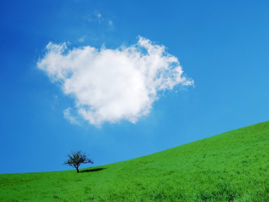 Обои небо, трава, дерево, склон, the sky, grass, tree, slope разрешение 2048x1371 Загрузить
