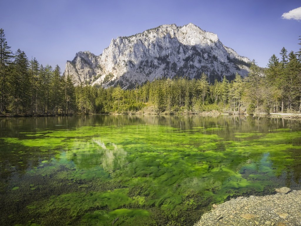 Обои озеро, природа, lake, nature разрешение 3059x1709 Загрузить