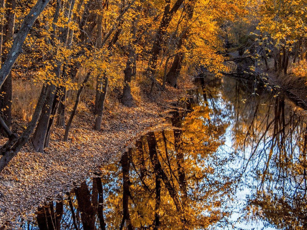 Обои деревья, река, природа, отражение, осень, trees, river, nature, reflection, autumn разрешение 3840x2160 Загрузить