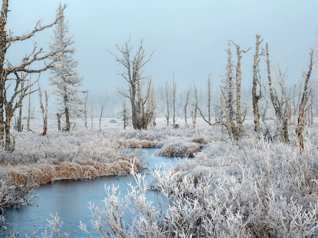 Обои река, зима, иней, river, winter, frost разрешение 3840x2160 Загрузить