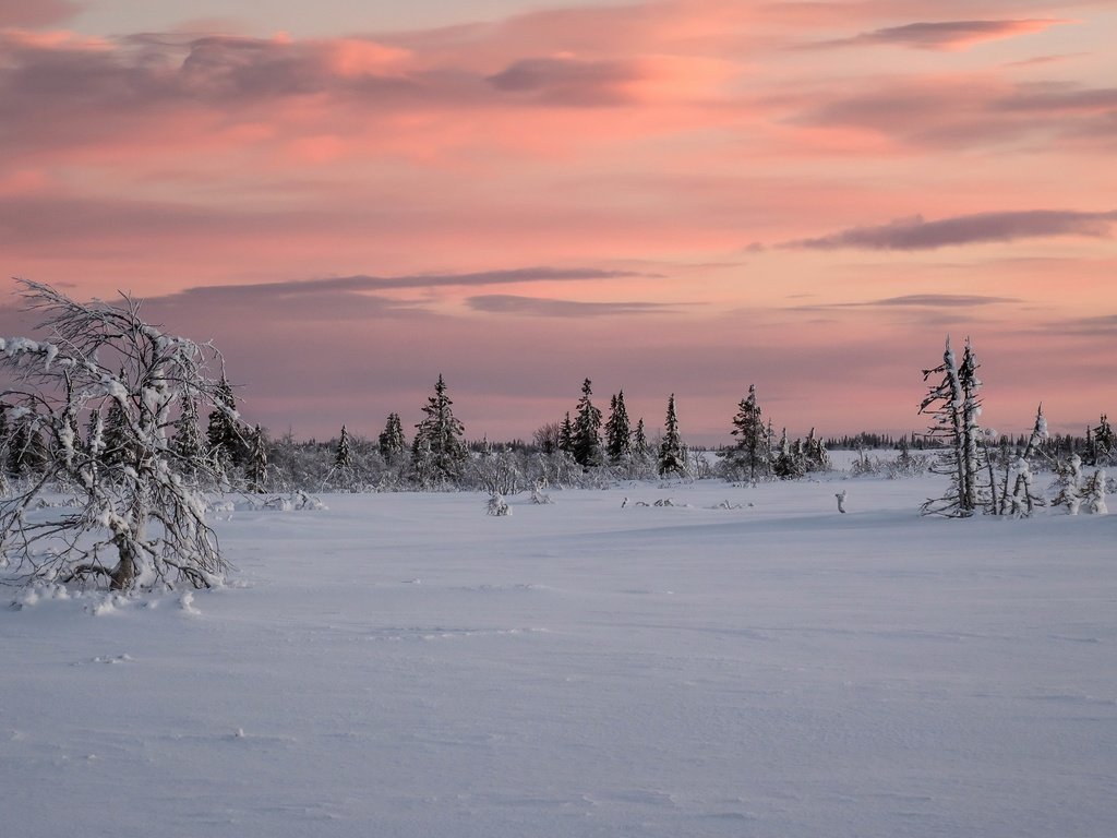 Обои снег, закат, snow, sunset разрешение 3840x2160 Загрузить