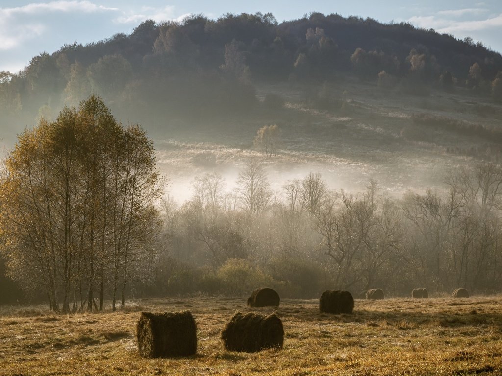 Обои туман, поле, сено, осень, fog, field, hay, autumn разрешение 3840x2160 Загрузить