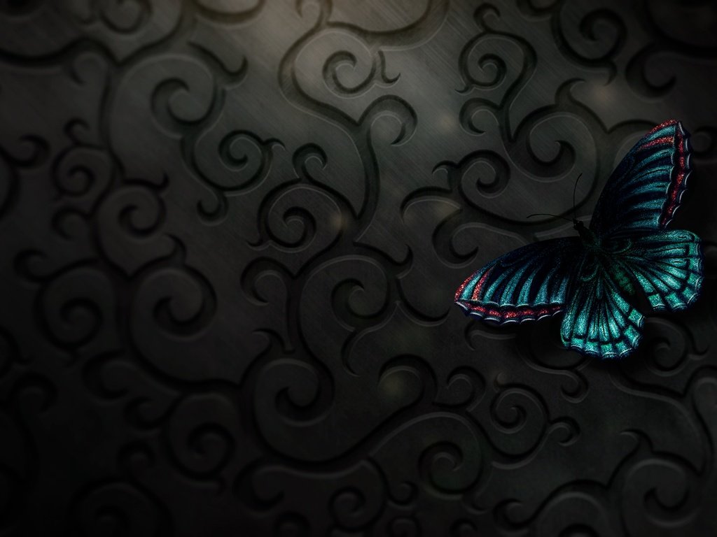 Обои бабочка, butterfly разрешение 2560x1440 Загрузить