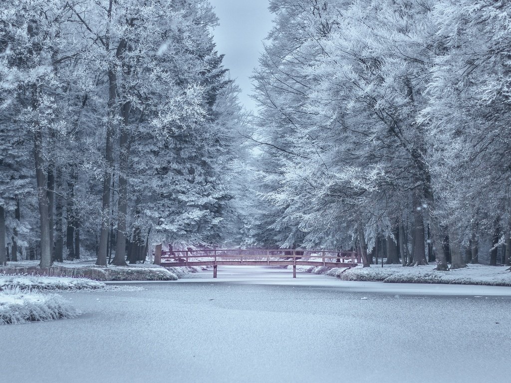 Обои парк, деревья, иней, озеро, пруд, снег, природа, берег, мостик, лес, зима, park, trees, frost, lake, pond, snow, nature, shore, the bridge, forest, winter разрешение 3840x2160 Загрузить