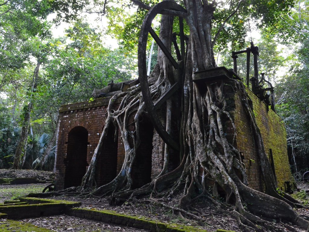 Обои деревья, руины, архитектура, корни, камбоджа, trees, ruins, architecture, roots, cambodia разрешение 4928x3264 Загрузить