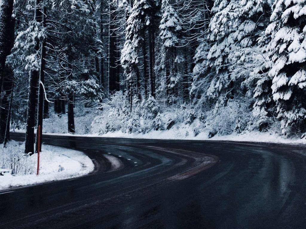 Обои дорога, деревья, снег, зима, road, trees, snow, winter разрешение 1920x1080 Загрузить