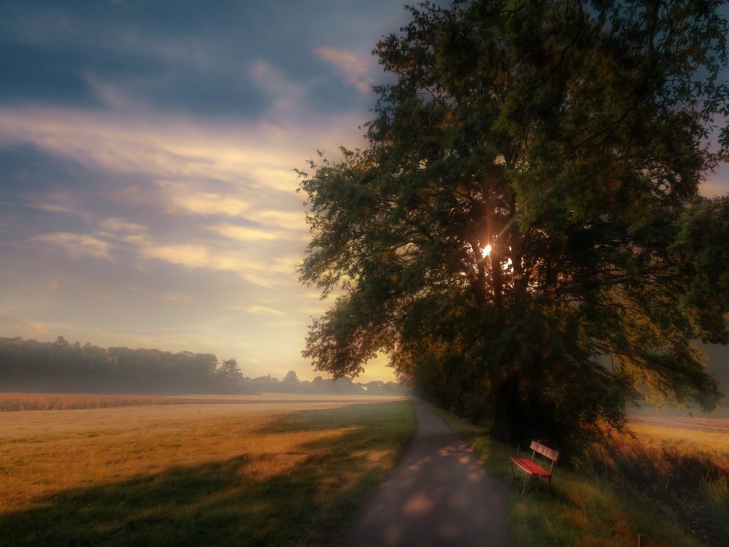 Обои дорога, утро, туман, скамья, road, morning, fog, bench разрешение 3840x2160 Загрузить